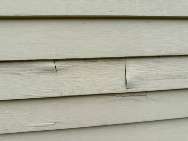 Best Vinyl Siding Installation  in Eastvale, CA